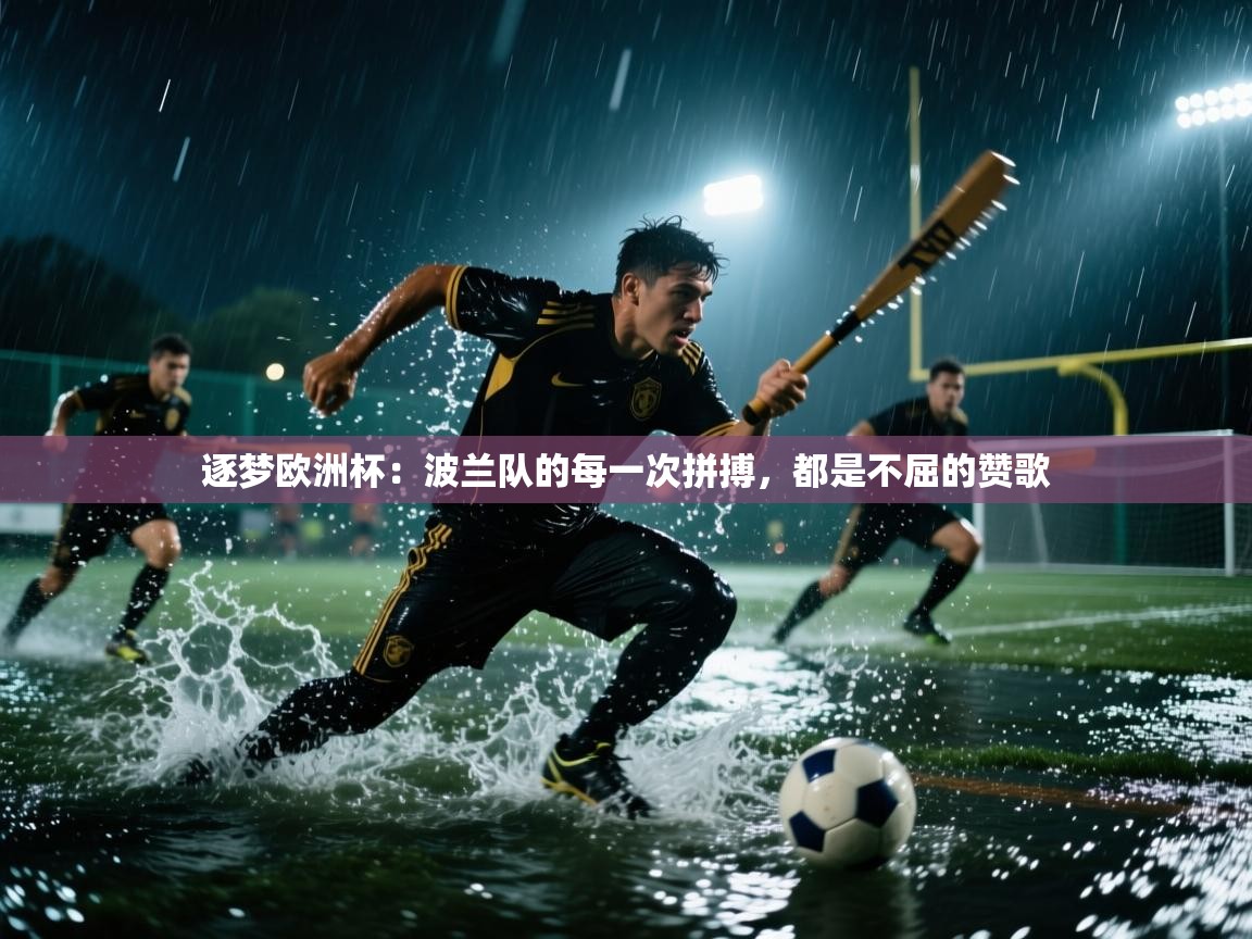 逐梦欧洲杯：波兰队的每一次拼搏，都是不屈的赞歌  第1张