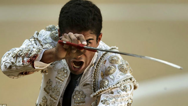 包含篮下之王威震全场，精彩瞬间引发观众欢呼！的词条