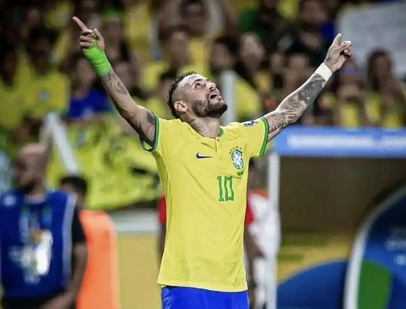 包含巴西国家队备战世界杯，夺冠热情高涨的词条