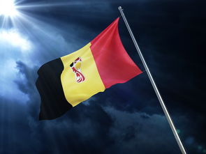 开云体育网页版入口-山东封王者力克沈阳雪域，取得惊人胜利