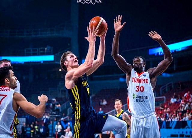 瑞典足坛新星争冠，欧洲杯战场再度火热！的简单介绍