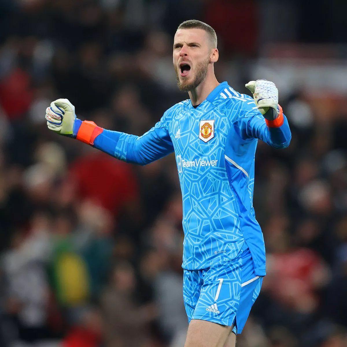 开云体育平台-莱斯特城门将神级扑救，为球队保住三分